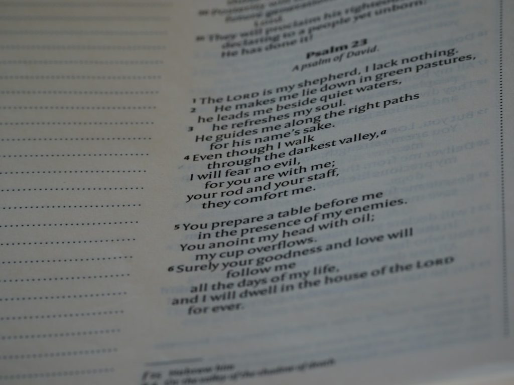 Photo On-Page SEO Audit Checklist